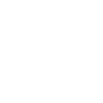 Buell-motorcycle-logo-white.png